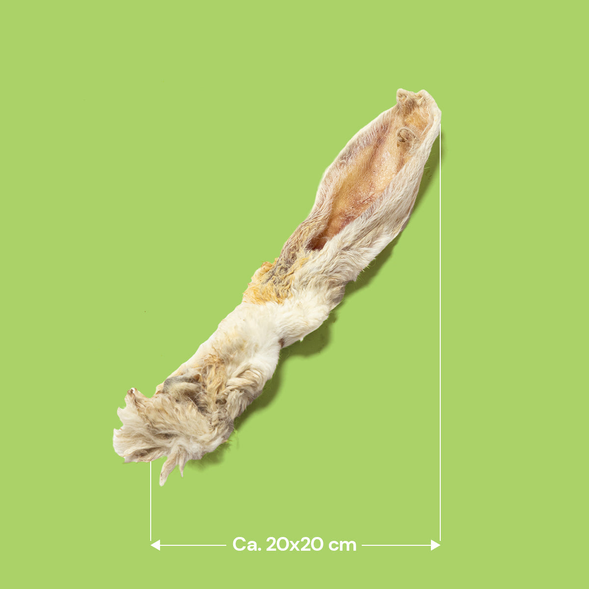 Hairy Rabbit Ear