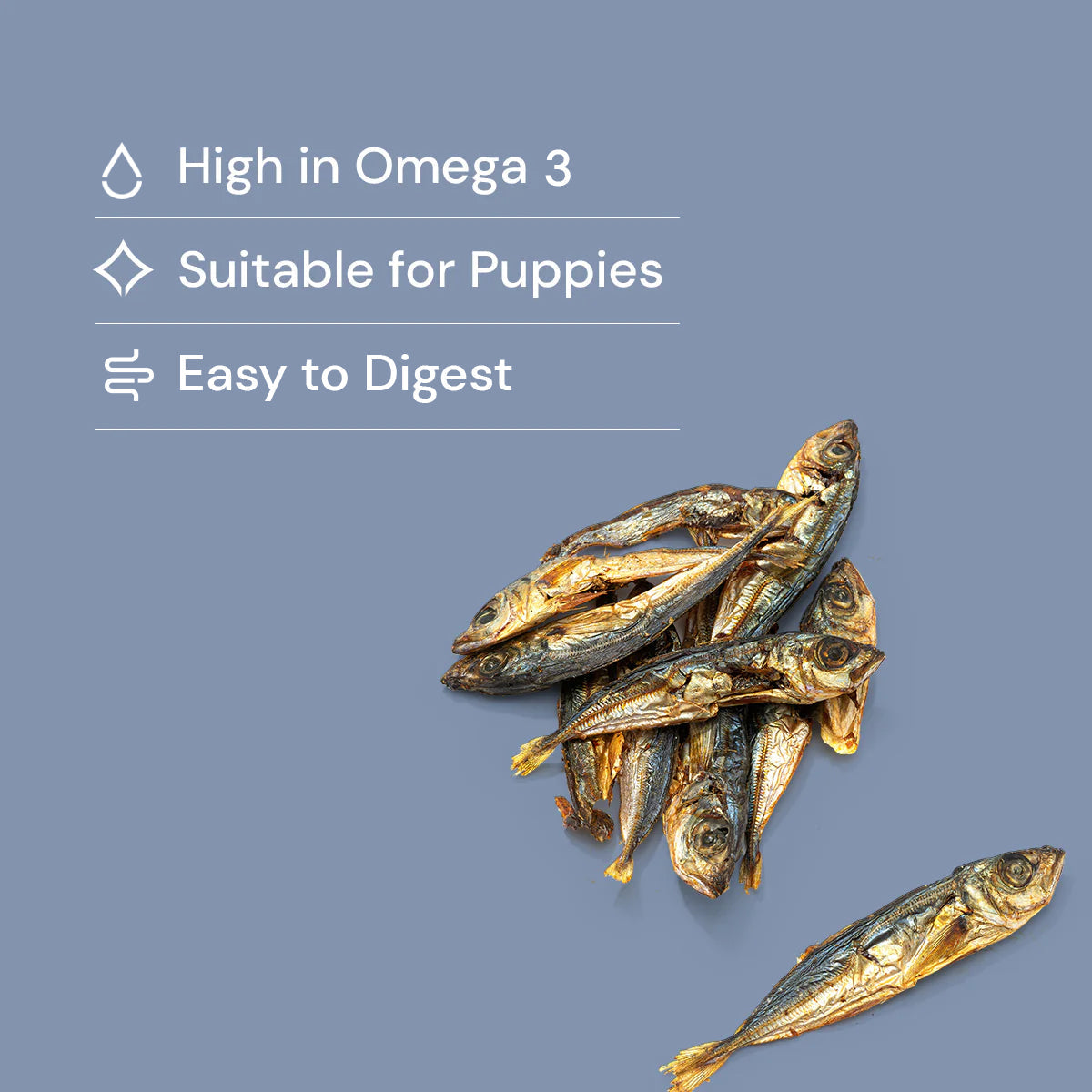 Sprats (20g) - Pick ‘N’ Mix
