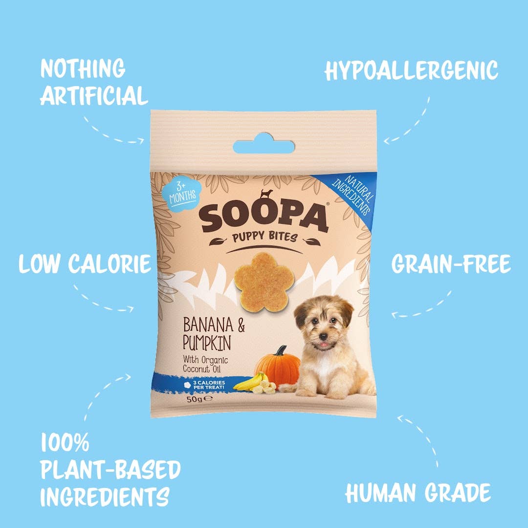 Banana & Pumpkin Puppy Treats: Single Pack