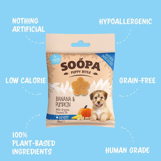 Banana & Pumpkin Puppy Treats: Single Pack
