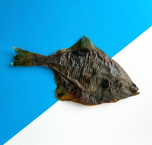 Whole Dried Flounder