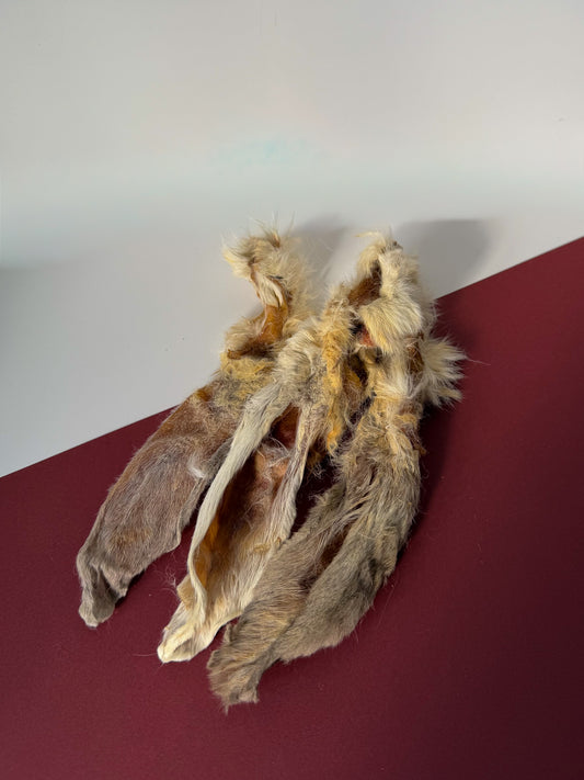 Hairy Rabbit Ear