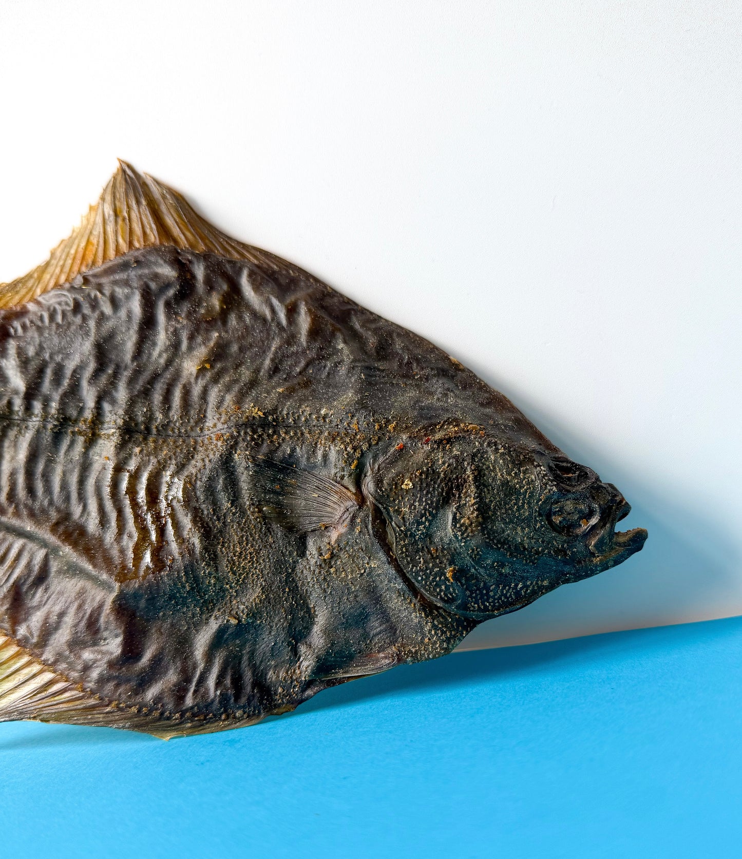 Whole Dried Flounder