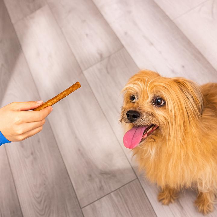 Buffalo Collagen Stick