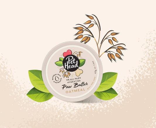 Pet Head Oatmeal Paw Butter