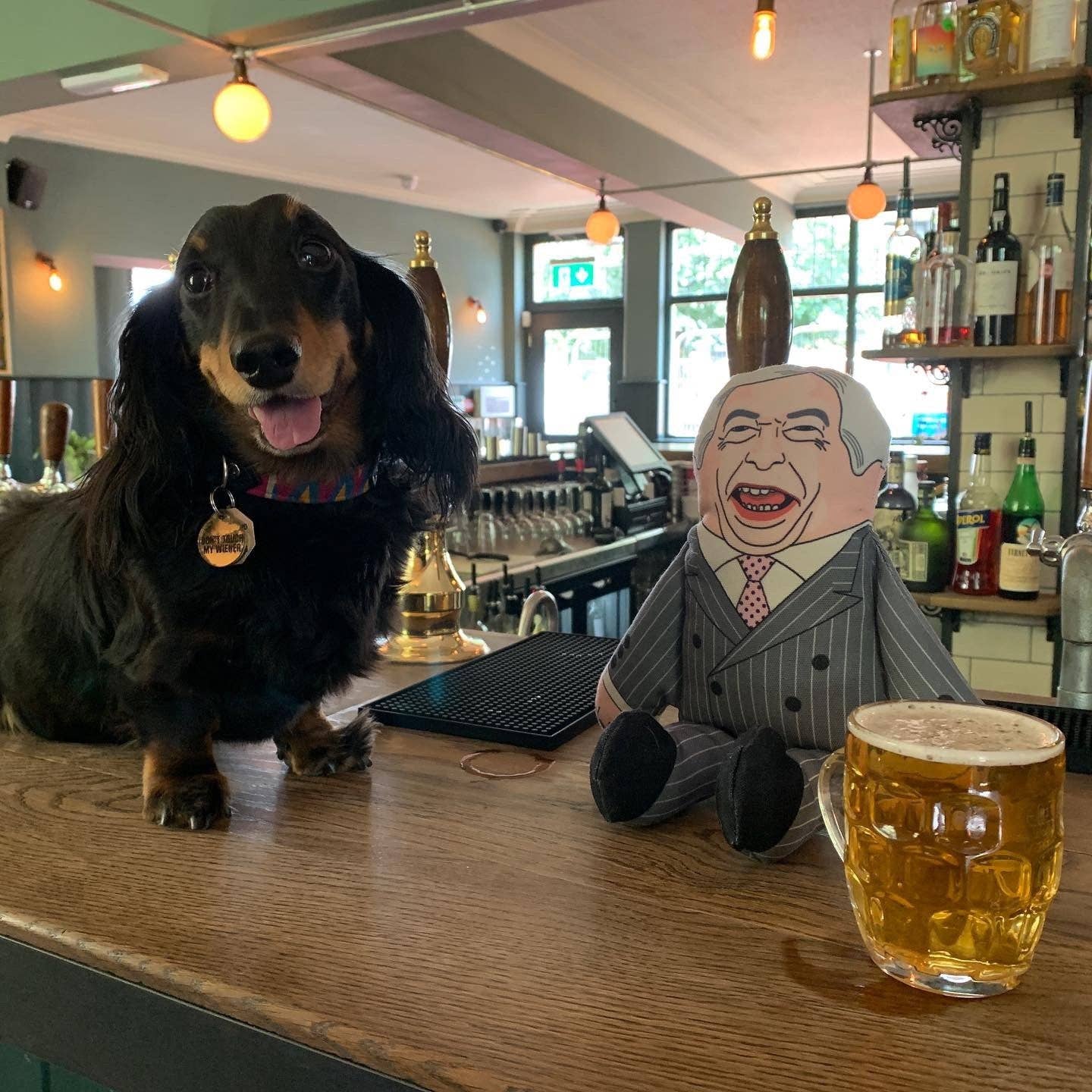 Nigel Farage Dog Toy