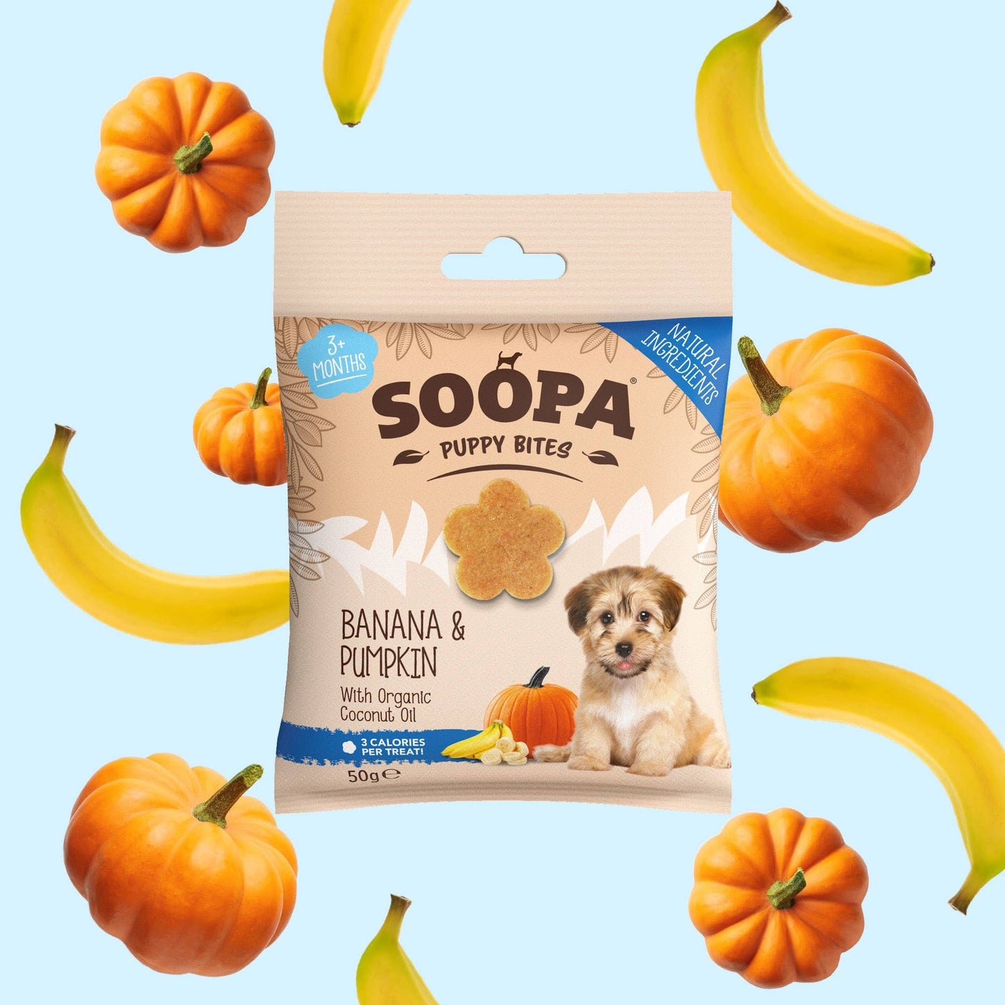 Banana & Pumpkin Puppy Treats: Single Pack
