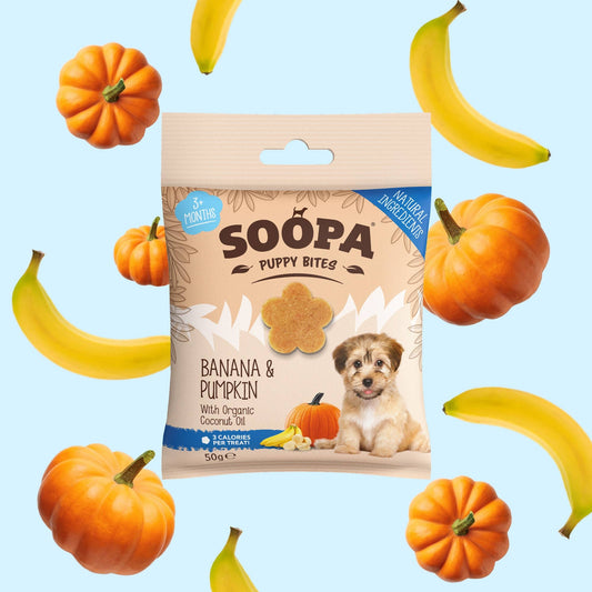 Banana & Pumpkin Puppy Treats: Single Pack