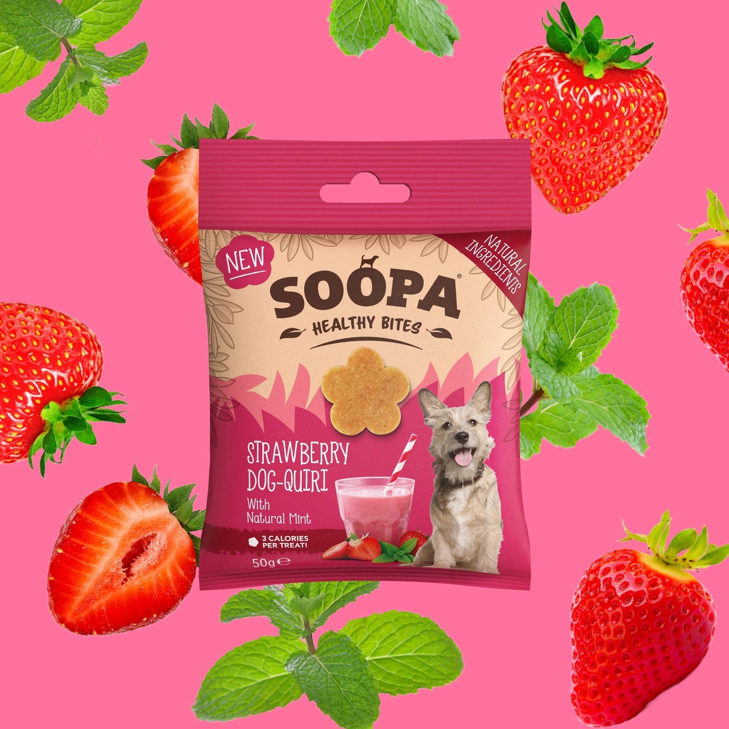 Strawberry Dog-Quiri Dog Treats: Single Pack