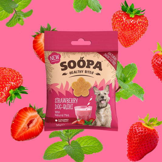 Strawberry Dog-Quiri Dog Treats: Single Pack