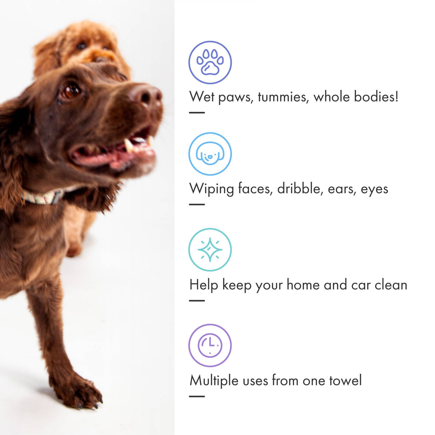 Mini Eco Dog Drying Towels – Disposable Paw & Face Towels
